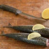 Mackerel (Scomber Scombrus)