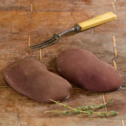 Pigs Kidneys