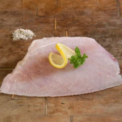 Skate (Ray Thornback Or Blonde) (Raja Sp)