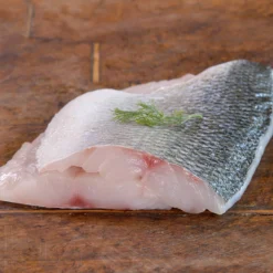 Wild Bass (Dicentrachus Labrax)