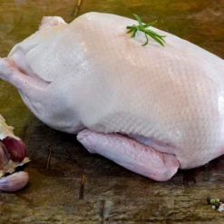 Gressingham Whole Duck
