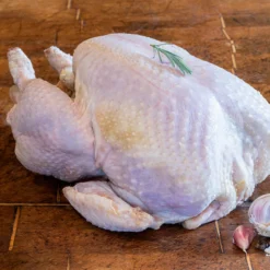 Free Range White Turkey